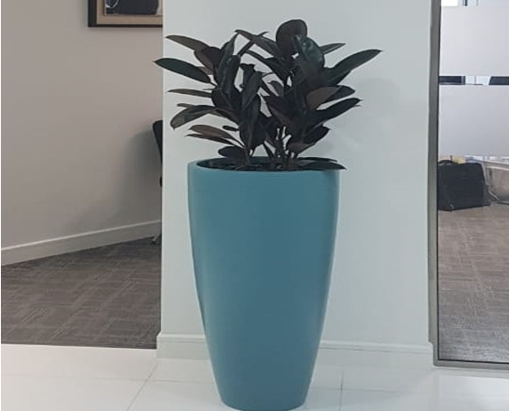 Alto fiber glass pot