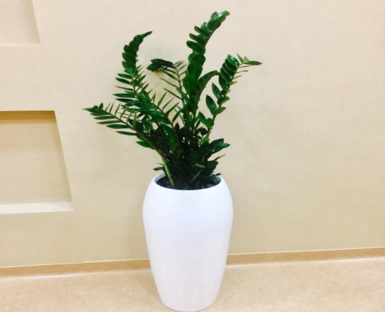 Yang fiber glass pot