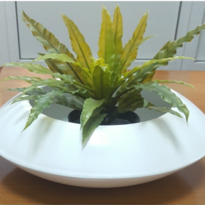 Twin Merged Bowl Pot