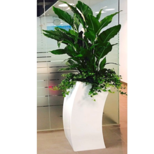 Curvy Pillar fiber glass pot