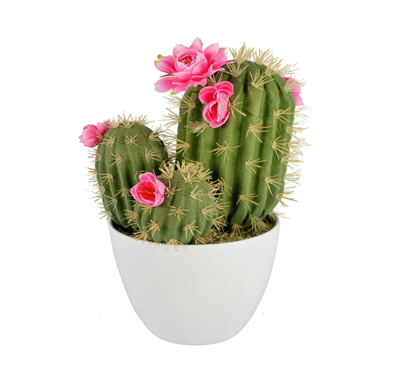 Cactus (Artificial Flower)