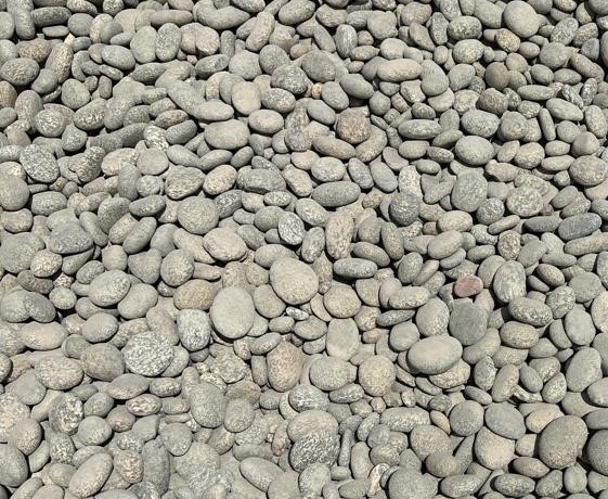 River Rock Zebra Colour