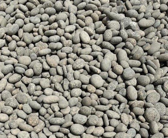 River Rock Zebra Colour