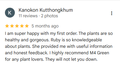 I am super happy with my first order. The plants are so healthy and gorgeous. Ruby is so knowledgeable about plants. She provided me with useful information and honest feedback. I highly recommend M4 Green for any plant lovers. They will not let you down.